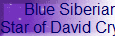 Blue Siberian 
Star of David Crystal 