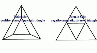 Male side                                                          Female Side



 positive, electric, upwards triangle        negative,magnetic, inverted triangle