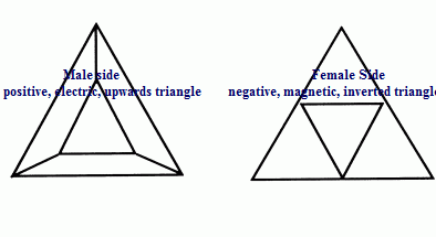 Male side                                                          Female Side



 positive, electric, upwards triangle        negative, magnetic, inverted triangle