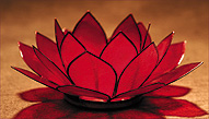 Lotus tea light Red Root Chakra
