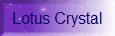 Lotus Crystal