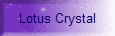 Lotus Crystal