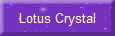 Lotus Crystal