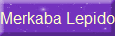 Merkaba Lepidolite