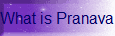 What is Pranava Energy