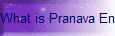 What is Pranava Energy