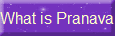 What is Pranava Energy