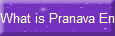 What is Pranava Energy