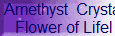  Amethyst  Crystal
 Flower of Lifel