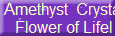  Amethyst  Crystal
 Flower of Lifel