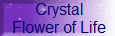 Crystal
 Flower of Life