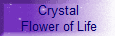  Crystal
 Flower of Life