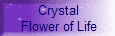  Crystal
 Flower of Life